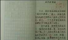 春天让我陶醉作文