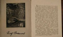 海燕高尔基读后感