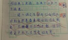 散步读后感100字