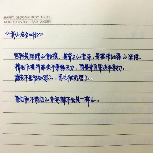 看完后“我叫红”