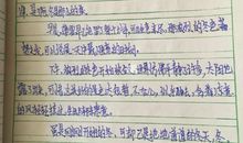 中学日记300字
