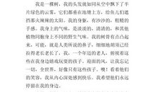 假如我是一棵树作文500字