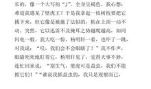 我的同学作文250字