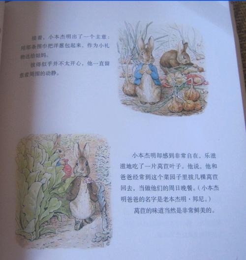 我，塔斯基，你的想法