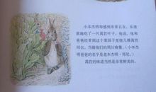 我兔斯基你读后感