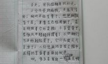 保定植物园作文