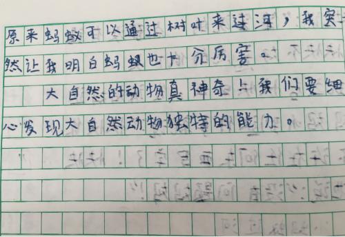 农村生活构成300字