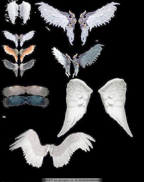 任何人都可以成为天使