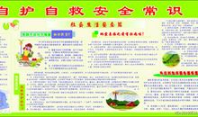 中学生安全教育读后感