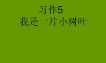 假如我是一片落叶作文