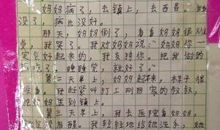 让我感动的一个人作文350字
