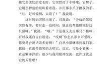 作文我懂得了珍惜