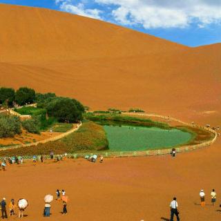 沙漠中隐藏的春天