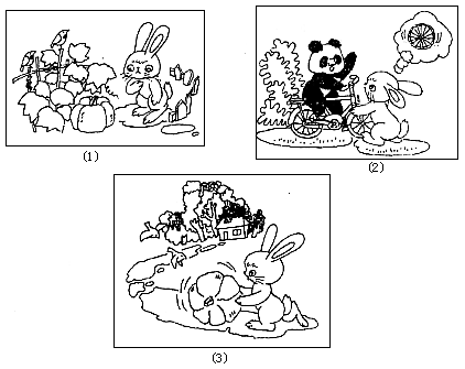 二年级下二册看图片组成