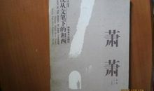 沈从文萧萧读后感