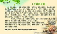 人生感悟作文500字