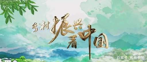 对纪录片的评论