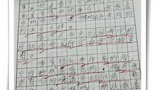 迎春花的作文300字