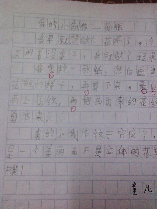 我的小制作二年级作文