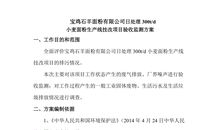 过新年作文700字