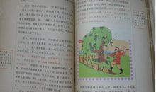 我是小书虫读后感