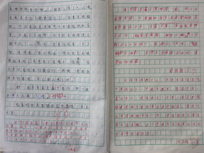 我家400字作文