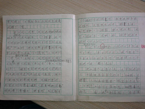 300个字