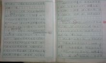 脱棉衣作文300字