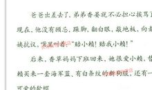 香草不是笨小孩读后感400字