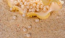 哲理小故事：沙子与珍珠