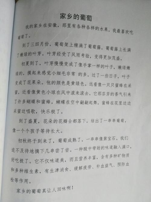 在温暖中成长