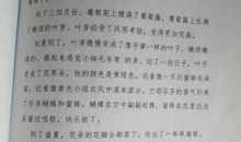 在温暖中成长作文