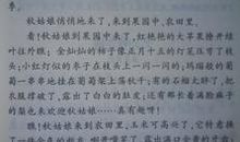 春天的感想作文