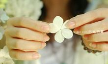 周炜经典语录语句