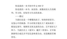 六一儿童节作文800字