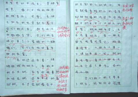 作文有趣的实验