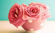 玫瑰花作文600字