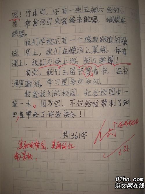 元旦作文300字