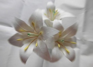 我喜欢百合成分