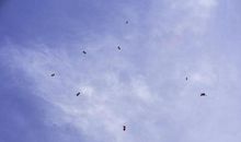 《好长的冬天》读后感