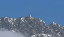 地球我的母亲读后感