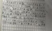 我的教师梦小学作文