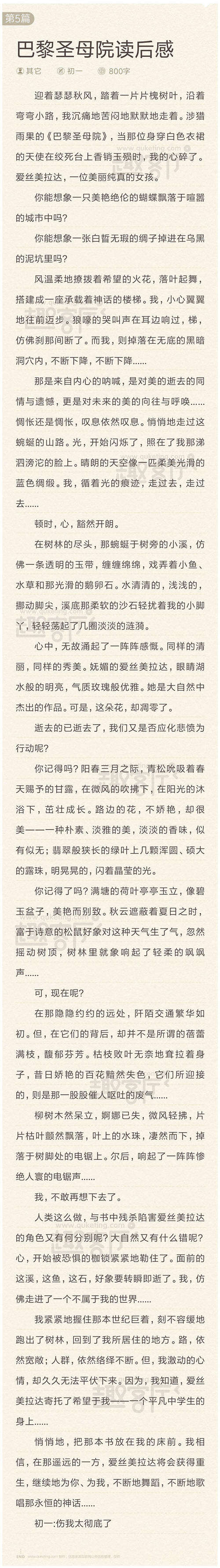 巴黎圣母院读后感英文