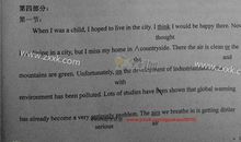 2015年高考满分作文天津卷：郑爽的范儿