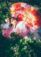 经典句：你记得我一会儿，我读了你半生