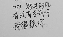 经典语录：有些人，任你耗费一生的时光，也等不到