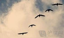 告诉你受益一生的59个好习惯