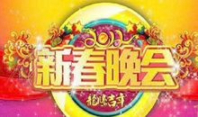 春节联欢晚会观后感