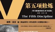 第五项修炼读后感