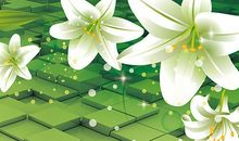 百合花作文600字